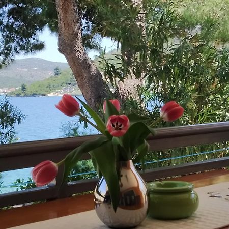 Holiday Home Milenka Рогозница Экстерьер фото