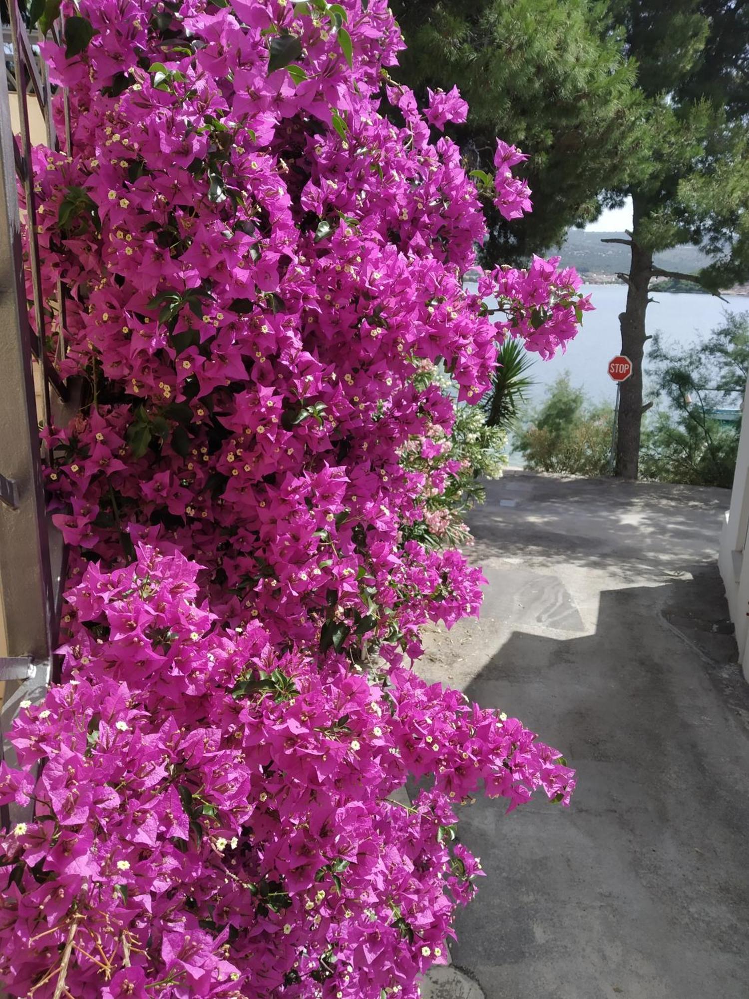 Holiday Home Milenka Рогозница Экстерьер фото